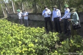 Khảo sát thực tế mô hình trồng cây đậu nành tại ấp Thạnh Phú, xã Đồng Thạnh