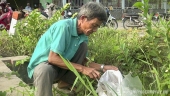 Ông Nguyễn Công Bảy, hội viên Cựu chiến binh xã Bình Nhì đang thu gom rác thải