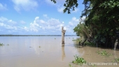 Sông Cửa Tiểu nằm cặp địa bàn ấp Phú Quới, xã Long Vĩnh
