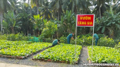 Thị trấn Vĩnh Bình: Lực lượng dân quân thường trực tích cực tăng gia sản xuất cải thiện đời sống