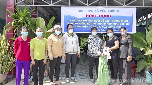 Hội Liên hiệp Phụ nữ xã Yên Luông tổ chức tham quan mô hình làm kinh tế nuôi bồ câu thương phẩm
