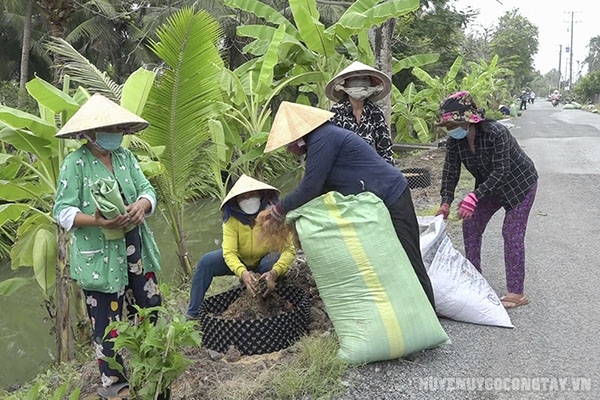 xa binh nhi ra quan trong cay (4)