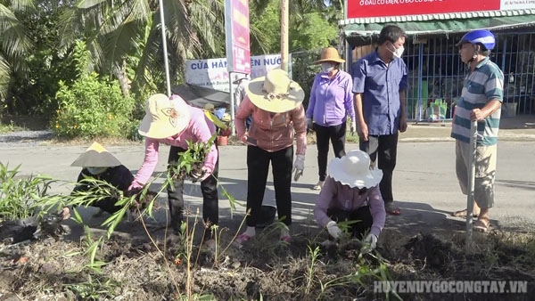 21 5 trong hoa doc theo tuyen duong huyen 16 C dẫn vao trung tam xa Lv