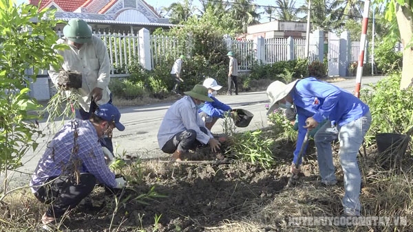 21 5 ra quan tuyen duog hoa kieu mau xa lonh vinh