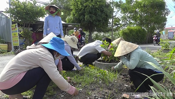 7 5 nho co, bon phan them dat cho hoa moi trong tuoi tot