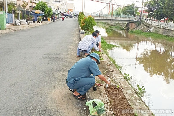 Ra quân trồng hoa dọc đường lên cầu Nguyễn Văn Côn