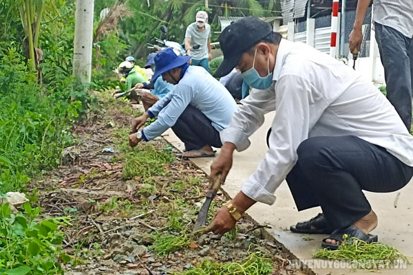 Ra quân trồng hoa trên tuyến đường An Ninh 8, xã Vĩnh Hựu