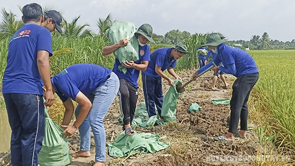 xa vinh huu chien dich hanh quan xanh (7)