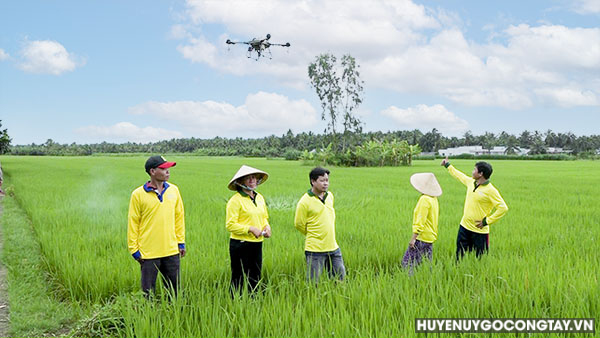 Xã Vĩnh Hựu trình diễn công nghệ phun thuốc trừ sâu bệnh trên lúa bằng máy bay và tổ chức tham quan vườn bưởi sinh học