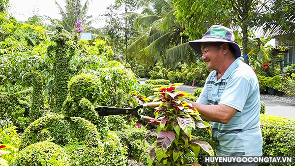 Ông Trương Văn Ba: Điển hình trồng hàng rào hoa kiểng tạo hình góp phần tạo cảnh quan môi trường xây dựng Nông thôn mới nâng cao tại xã Đồng Sơn