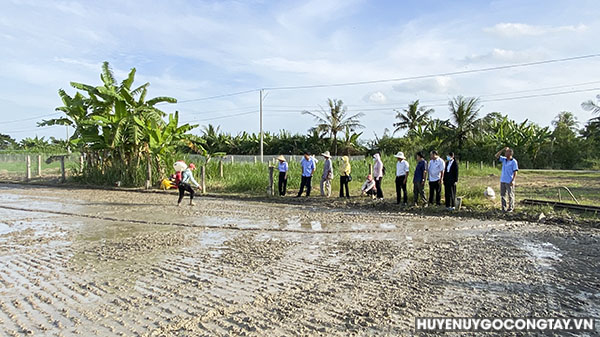 Huyện Gò Công Tây triển khai thực hiện tốt các mô hình hỗ trợ cho người trồng lúa theo Nghị quyết số 04/2021/NQ-HĐND