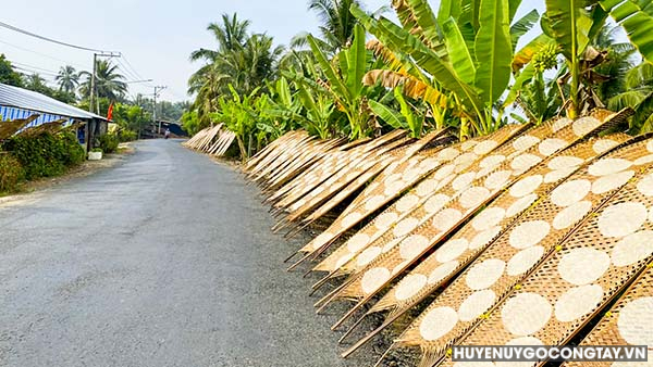 Nghề làm bánh tráng khoai mì Vĩnh Hựu, huyện Gò Công Tây vào vụ Tết Giáp Thìn năm 2024