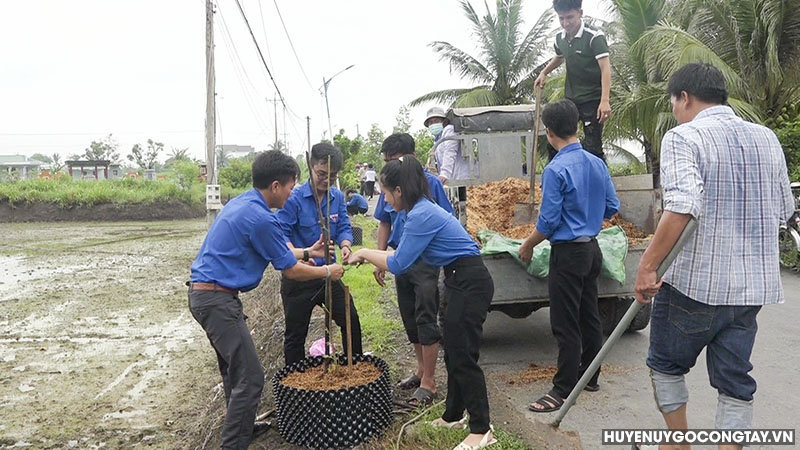 chien dich tinh nguyen he go cong tay (1)