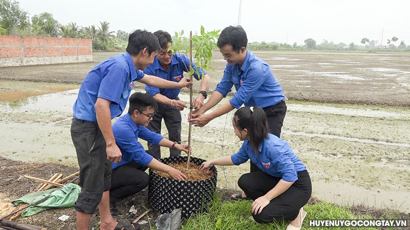 chien dich tinh nguyen he go cong tay (7)