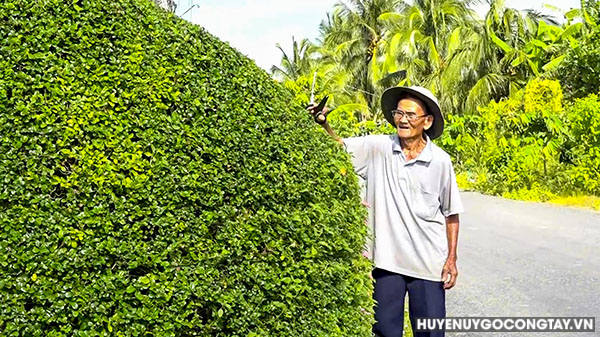 Huyện Gò Công Tây: phát huy vai trò người cao tuổi tích cực tham gia bảo vệ môi trường góp phần xây dựng nông thôn mới nâng cao