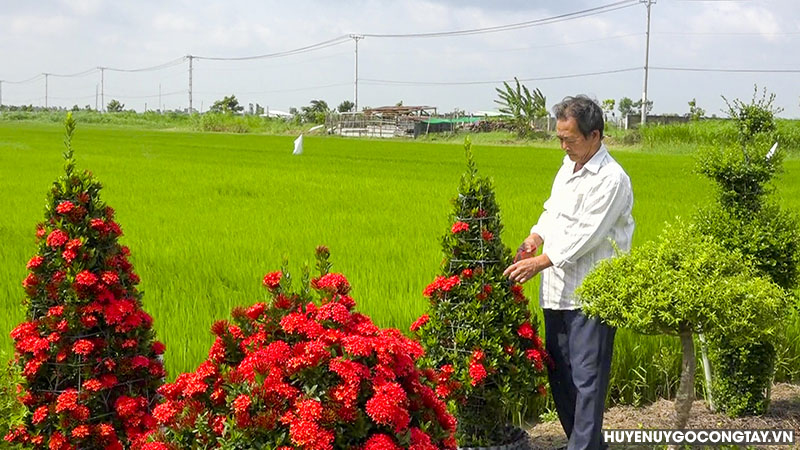 Hội viên Người Cao tuổi Phạm Tấn Ru - tích cực tham gia xây dựng cảnh quan môi trường xanh, sạch, đẹp.