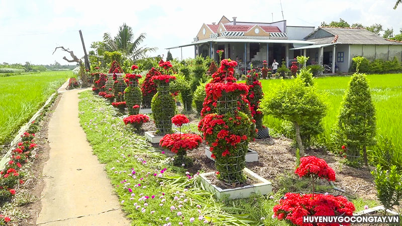 GUONG HOI VIEN NGUOI CAO TUOI GO CONG TAY (2)