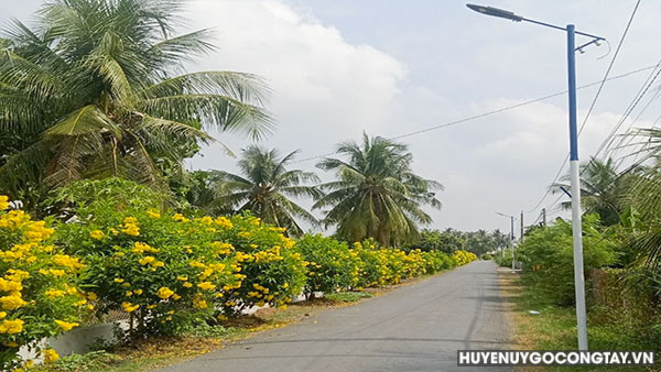 Tuyến đường hoa trên địa bàn xã.