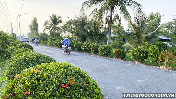 CCB xa binh phu go cong tay mo hinh (3)