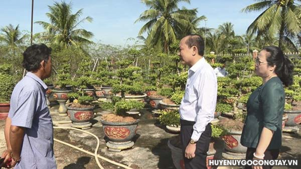 Đoàn công tác Trung ương Hội Nông dân Việt Nam đến tham quan mô hình kiểng cổ mai nu của hội viên nông dân Lê Tấn Bỉnh ấp Tân Thạnh, xã Thạnh Nhựt, huyện Gò Công Tây.