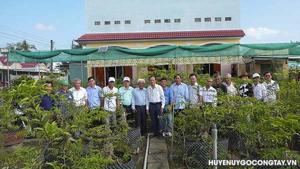 hoi sinh vat canh go cong tay (1)